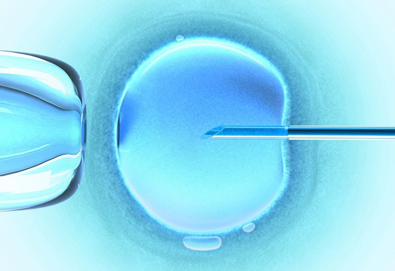 tüp bebekte embriyo transferi kaçıncı gün yapılmalıdır ?